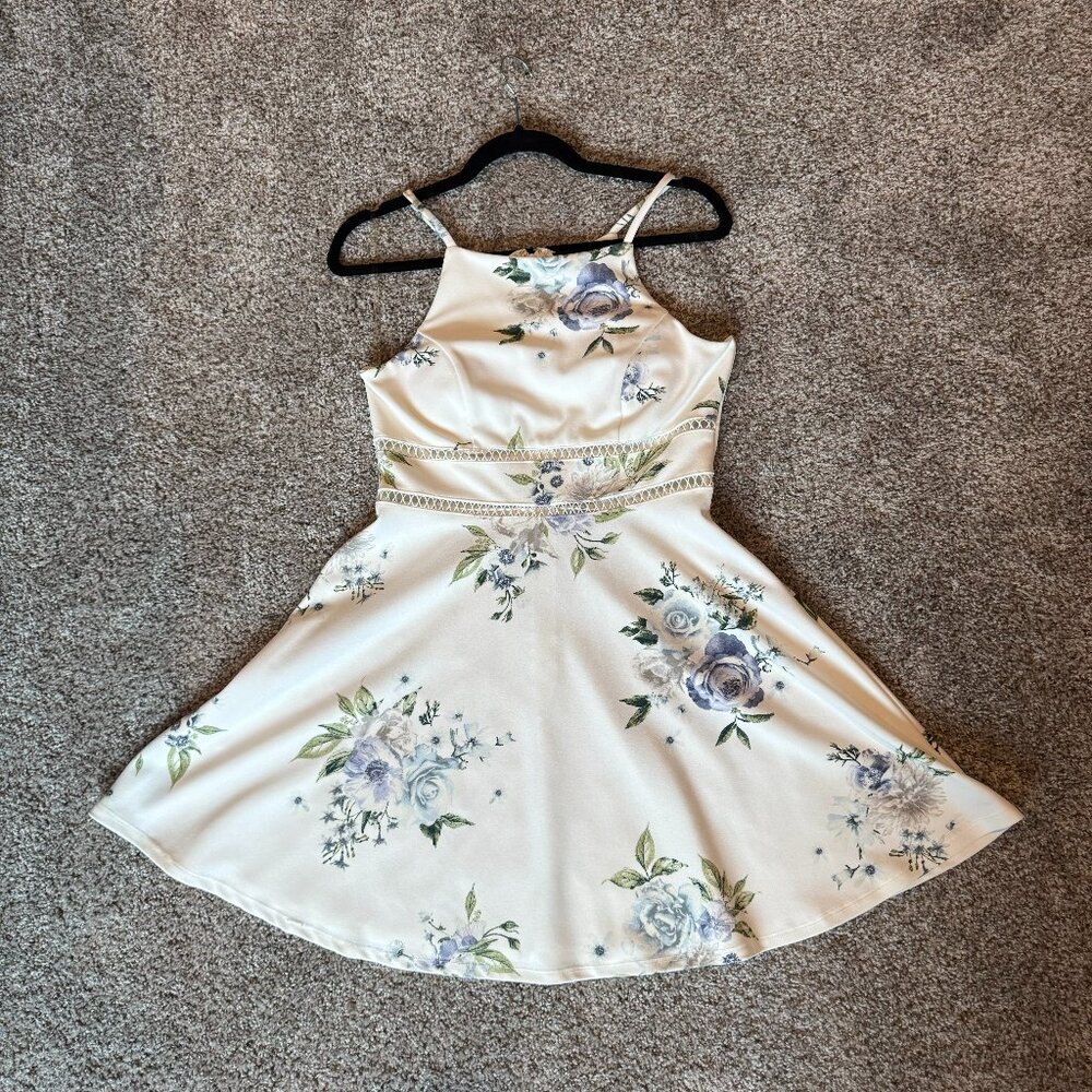 Trixxi Francesca's ivory floral print sleeveless A-line lined dress